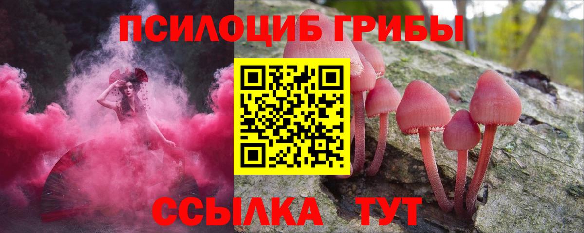 Коломна  продажа наркотиков  Вход с VPN  Псилоцибиновые грибы мицелий 